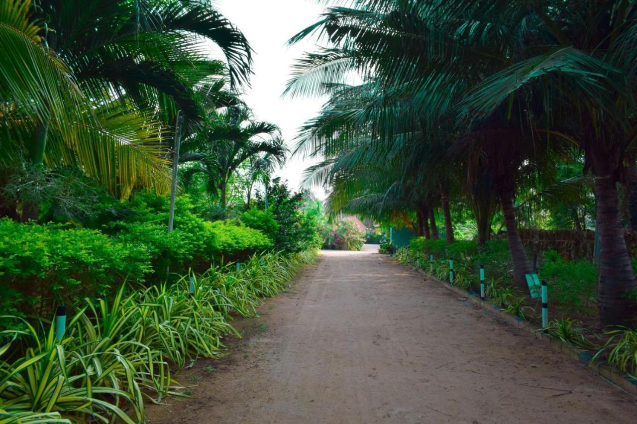 Mithra Paradise Beach Hotel Nilaveli Buitenkant foto